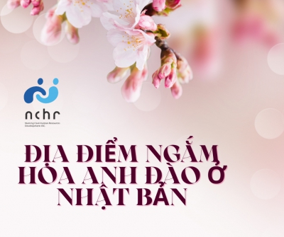 NHỮNG ĐỊA ĐIỂM NHẮM HOA ANH ĐÀO ĐẸP Ở NHẬT BẢN