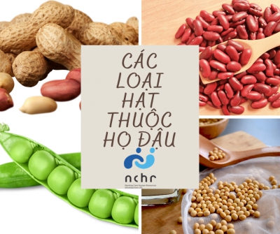 TỪ VỰNG TIẾNG NHẬT CHỦ ĐỀ CÁC LOẠI HẠT